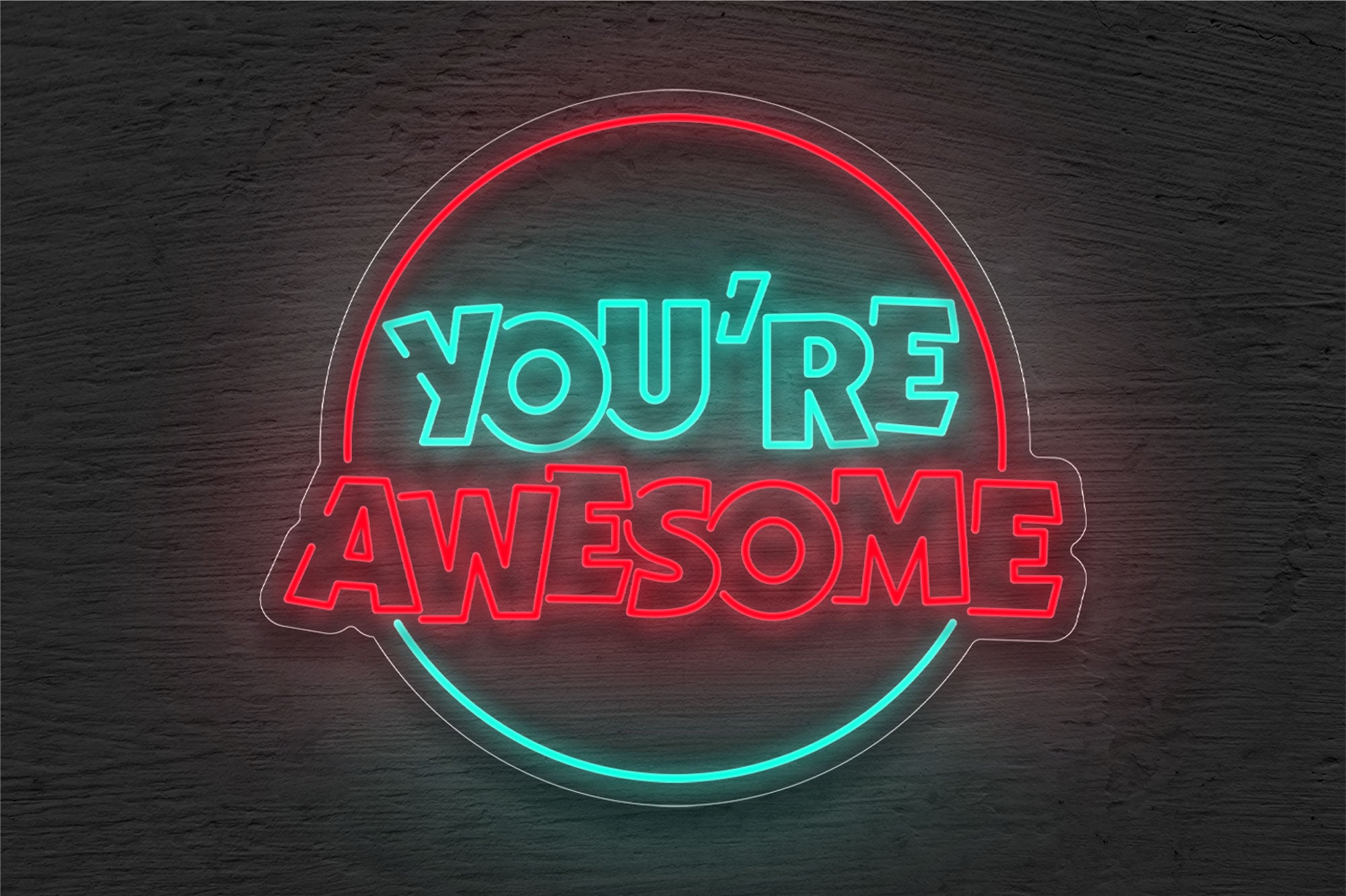 "You're Awesome" with Circle Border LED Neon Sign