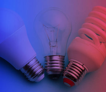 Choosing Between LED vs Fluorescent Lighting for Your Space