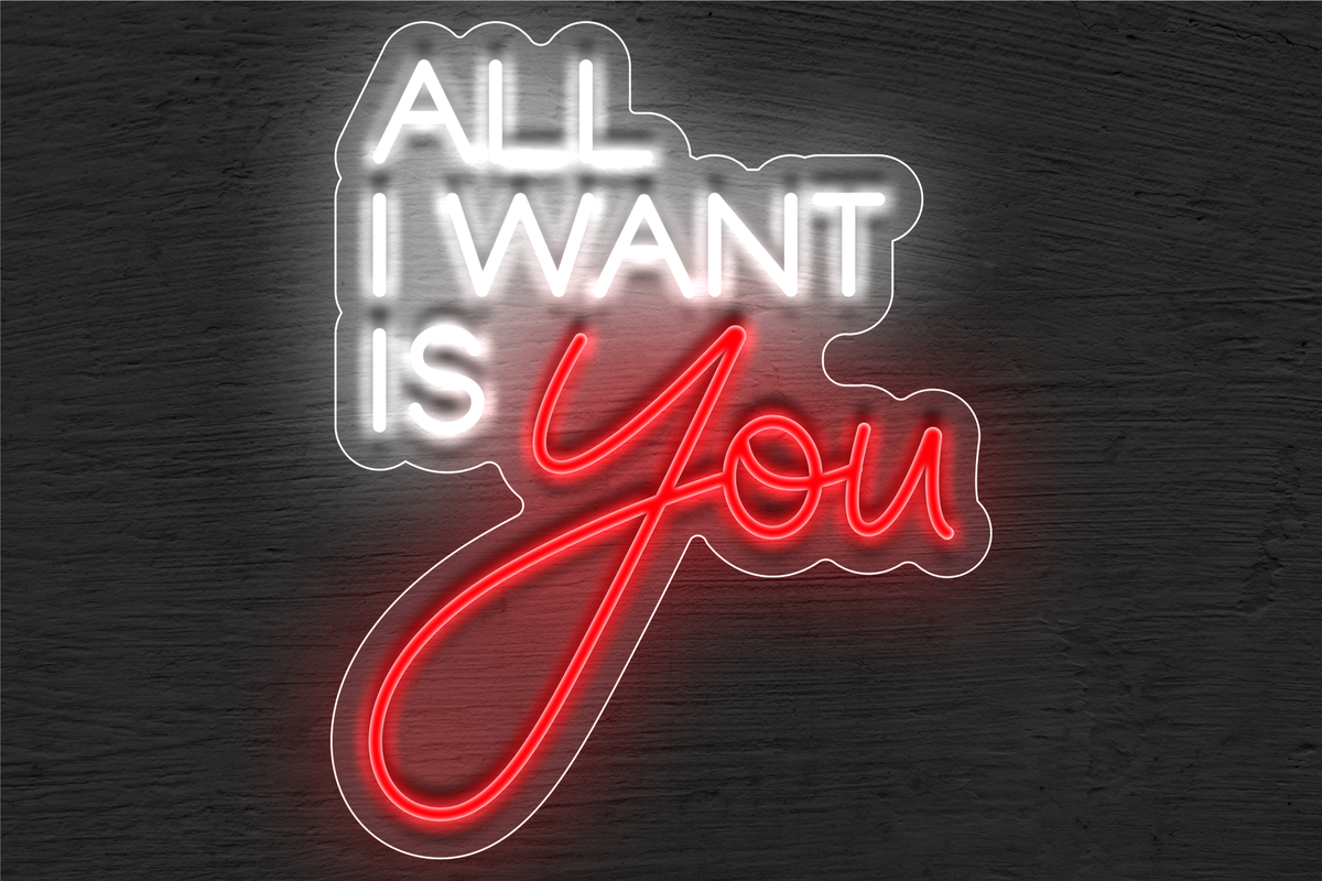&quot;All I want is You&quot; LED Neon Sign