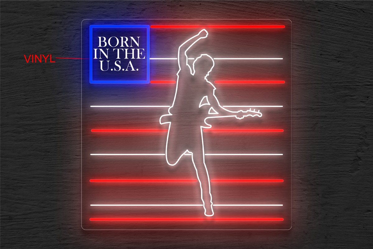 Born in the USA Flag LED Neon Sign