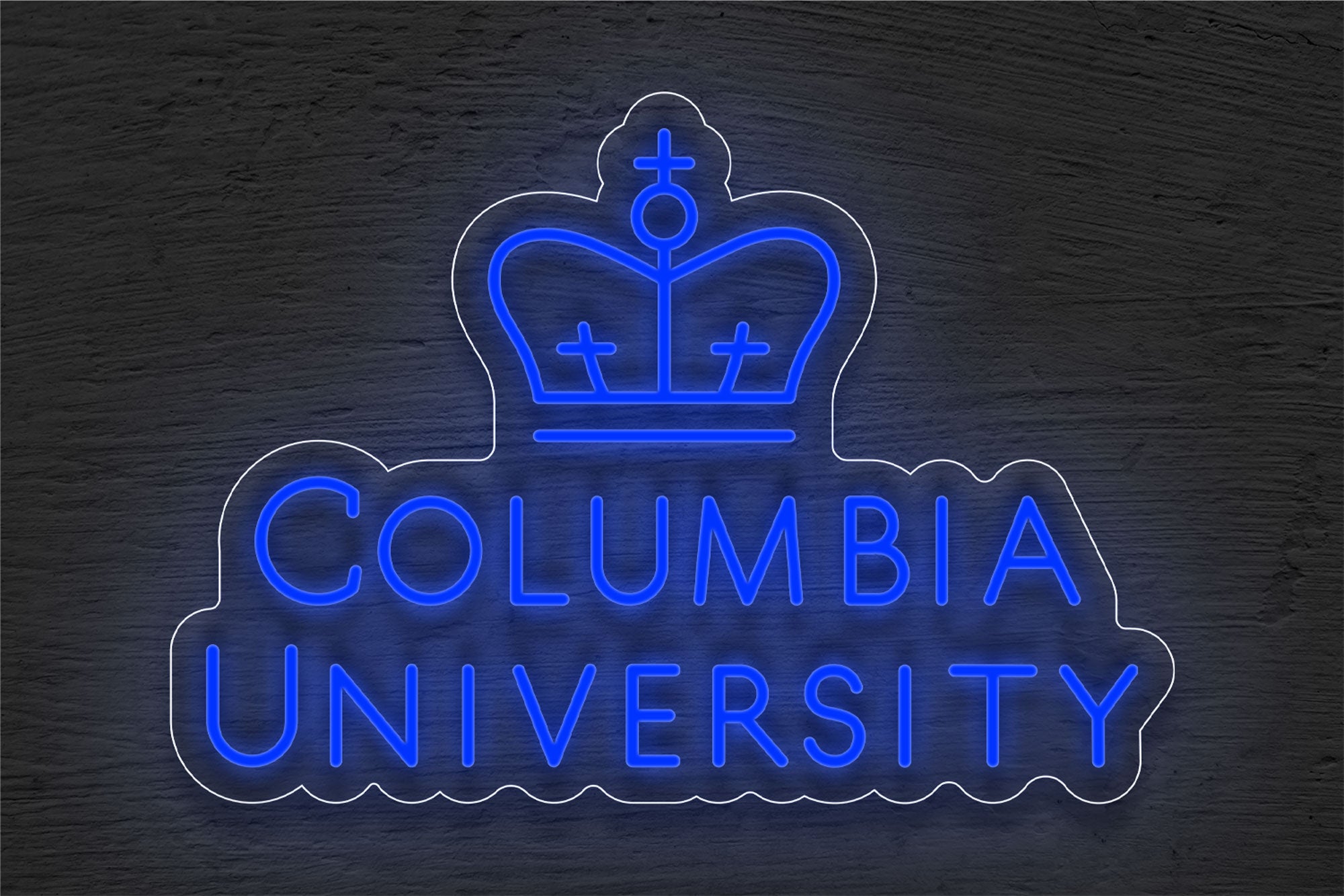 Columbia University LED Neon Sign Best Buy Neon Signs