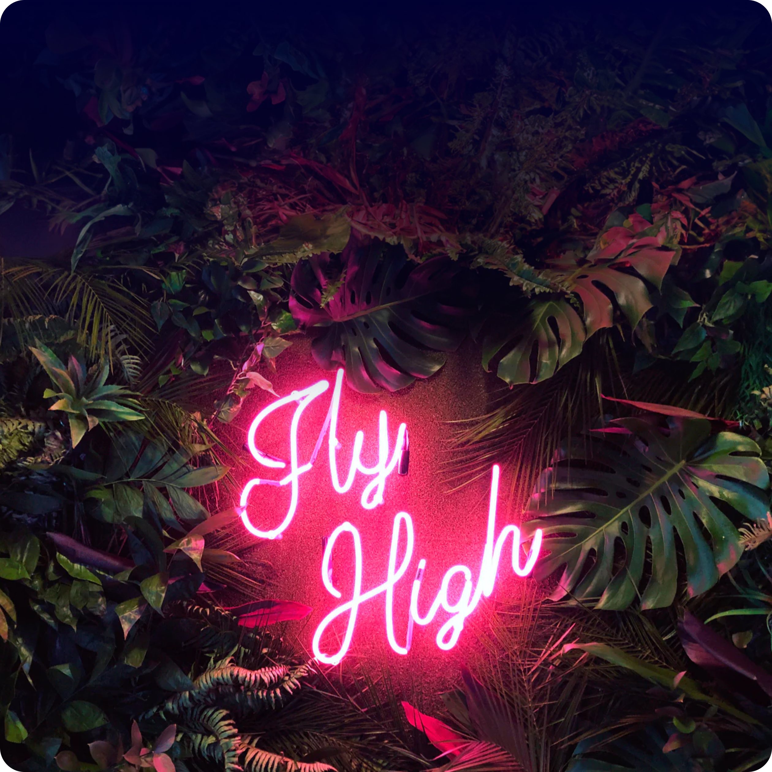 Artisan handcrafting a neon sign