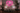 Love with Heart Border LED Neon Sign | Love Neon | Choose Your Color