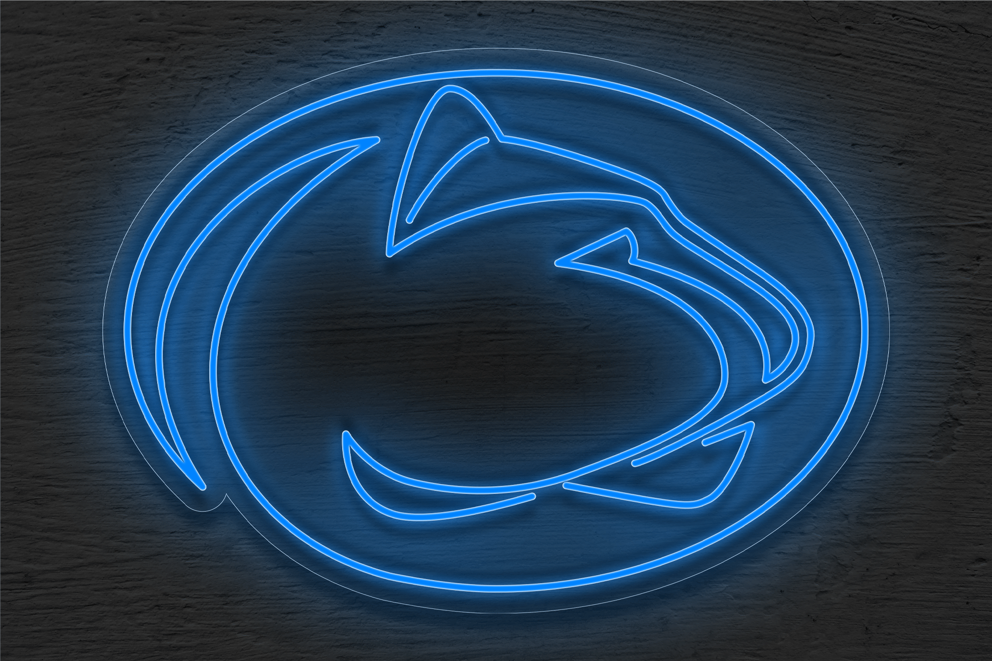 Pennsylvania State University