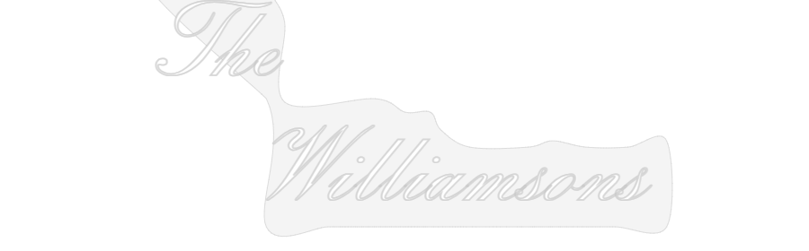 Neon: The 
    Wil...
